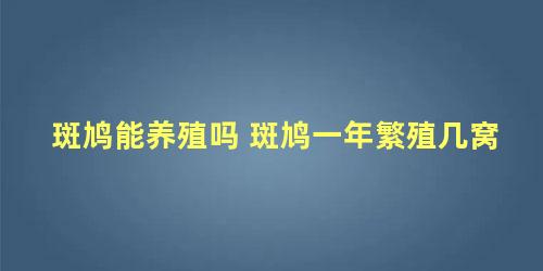 斑鸠能养殖吗 斑鸠一年繁殖几窝